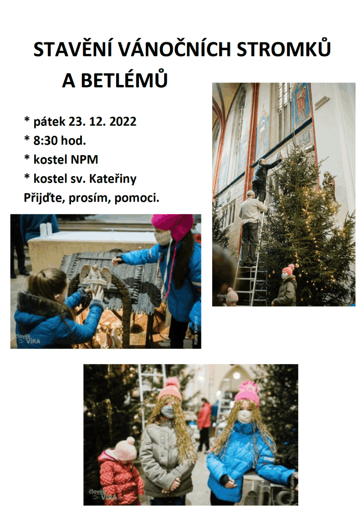 Stavění vánočních stromků a betlémů